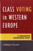 bokomslag Class Voting in Western Europe