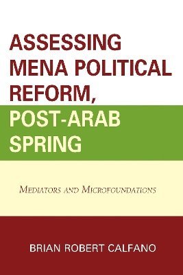 bokomslag Assessing MENA Political Reform, Post-Arab Spring