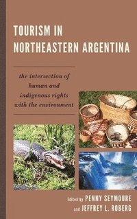 bokomslag Tourism in Northeastern Argentina