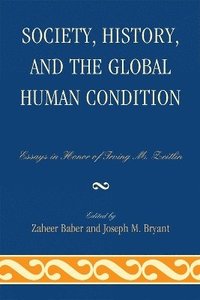 bokomslag Society, History, and the Global Human Condition