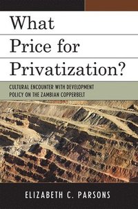 bokomslag What Price for Privatization?