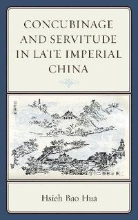 bokomslag Concubinage and Servitude in Late Imperial China