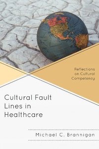 bokomslag Cultural Fault Lines in Healthcare