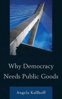 bokomslag Why Democracy Needs Public Goods