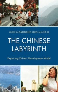 bokomslag The Chinese Labyrinth