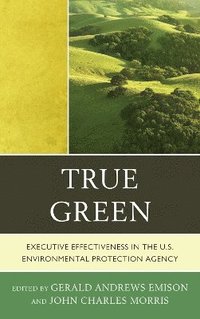 bokomslag True Green