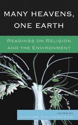 Many Heavens, One Earth