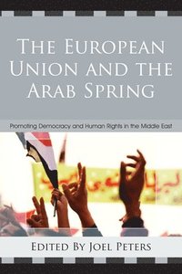 bokomslag The European Union and the Arab Spring