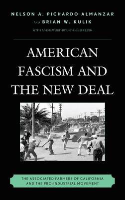 bokomslag American Fascism and the New Deal