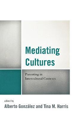Mediating Cultures 1