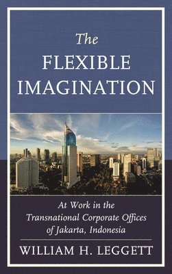 bokomslag The Flexible Imagination