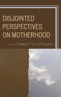 bokomslag Disjointed Perspectives on Motherhood