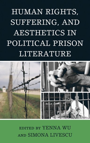 bokomslag Human Rights, Suffering, and Aesthetics in Political Prison Literature