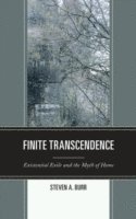 bokomslag Finite Transcendence