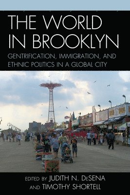 Judith DeSena, Timothy Shortell, Judith Desena - World in Brooklyn, Häftad