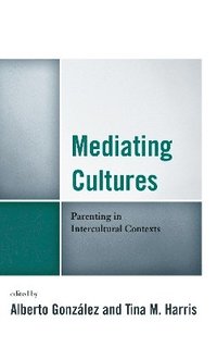 bokomslag Mediating Cultures