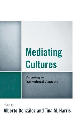 bokomslag Mediating Cultures