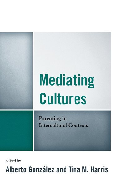 bokomslag Mediating Cultures