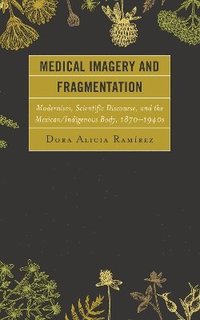 bokomslag Medical Imagery and Fragmentation