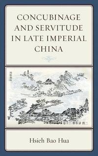 bokomslag Concubinage and Servitude in Late Imperial China