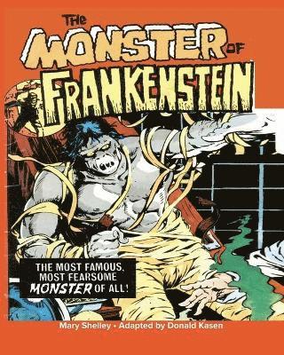 bokomslag Monster of Frankenstein