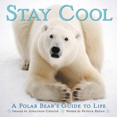 Stay Cool 1