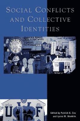 Patrick G. Coy, Lynne M. Woehrle - Social Conflicts and Collective Identities, Häftad