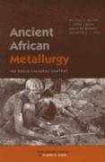 bokomslag Ancient African Metallurgy
