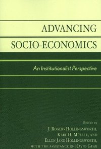 bokomslag Advancing Socio-Economics