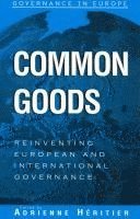 bokomslag Common Goods