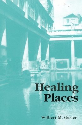 Wilbert M. Gesler, Wilbert M Gesler - Healing Places, Häftad