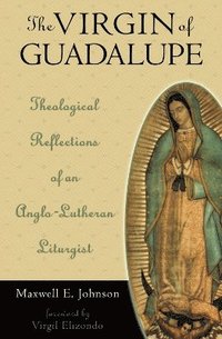 bokomslag The Virgin of Guadalupe
