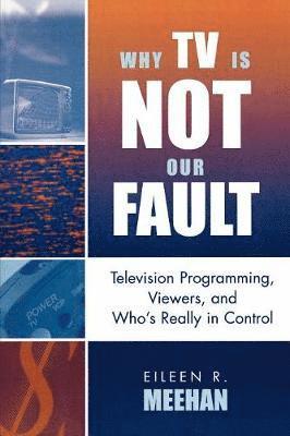 Why TV Is Not Our Fault 1