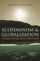 bokomslag Ecofeminism and Globalization