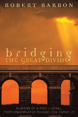 bokomslag Bridging the Great Divide