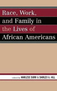 bokomslag Race, Work, and Family in the Lives of African Americans