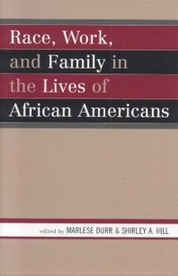 bokomslag Race, Work, and Family in the Lives of African Americans