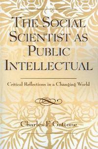 bokomslag The Social Scientist as Public Intellectual