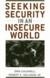 bokomslag Seeking security in an insecure world