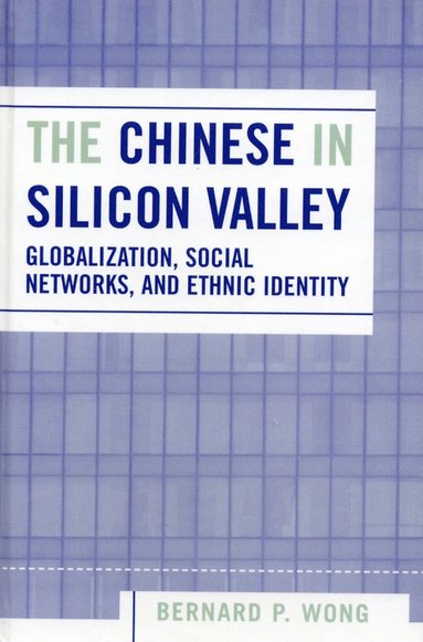 bokomslag Chinese in Silicon Valley