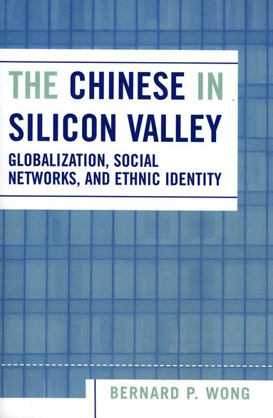 bokomslag Chinese in Silicon Valley