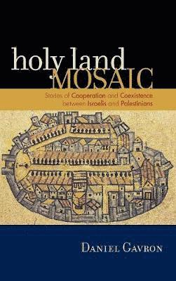 bokomslag Holy Land Mosaic