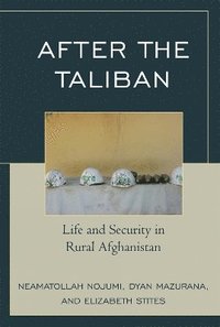 bokomslag After the Taliban
