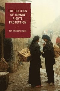 bokomslag The Politics of Human Rights Protection