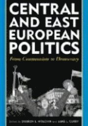 bokomslag Central and east european politics : from communism to democracy