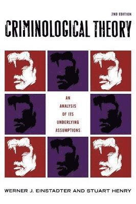 bokomslag Criminological Theory