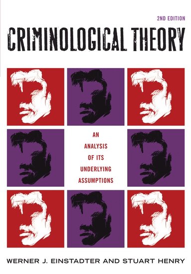 bokomslag Criminological Theory