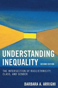 bokomslag Understanding Inequality