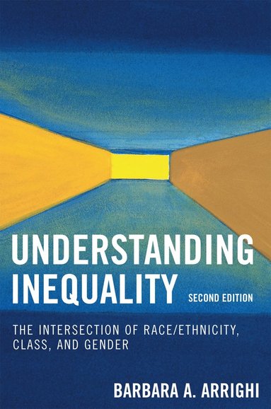 bokomslag Understanding Inequality