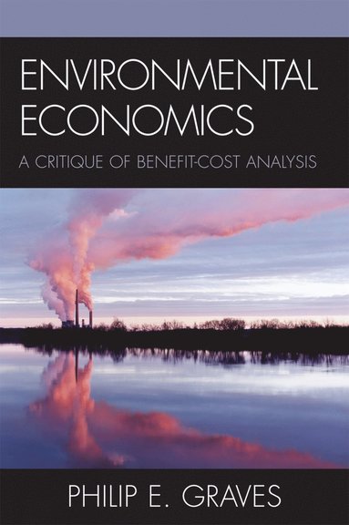 bokomslag Environmental Economics